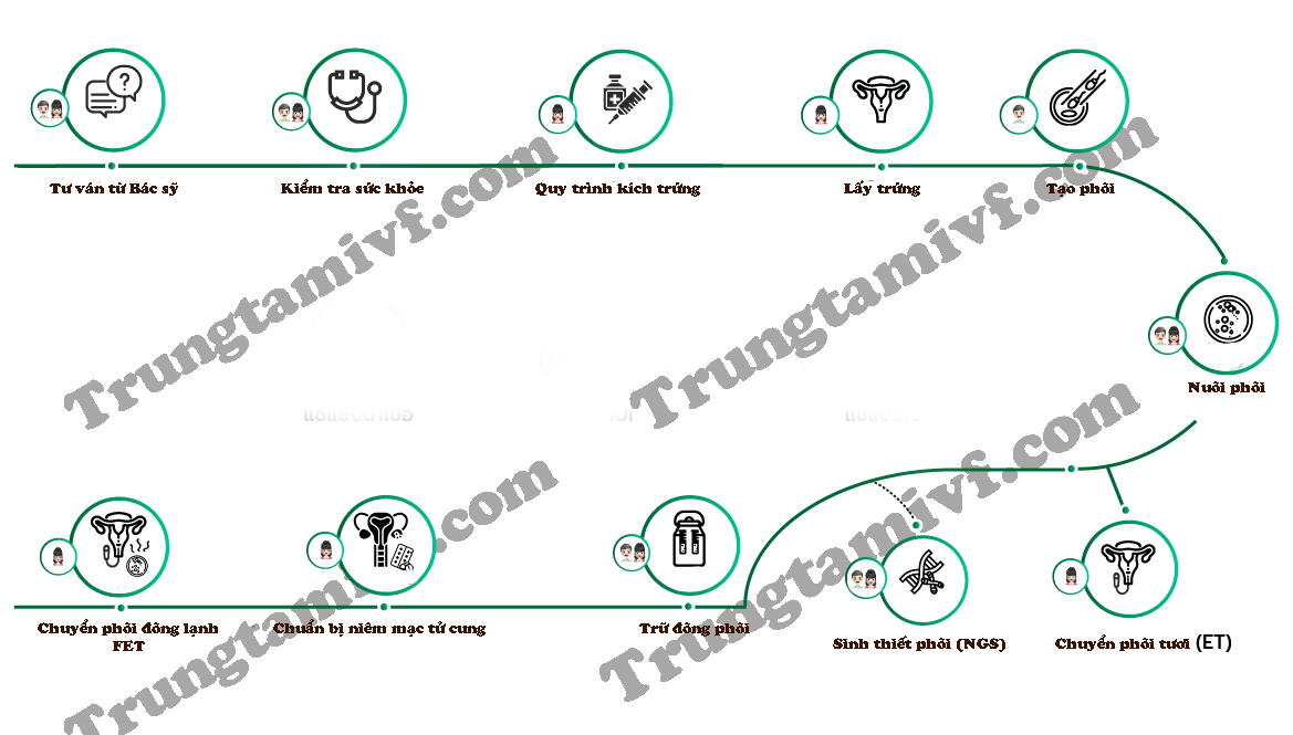 quy trình thụ tinh ống nghiệm